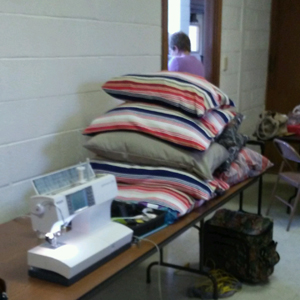 Dog Beds